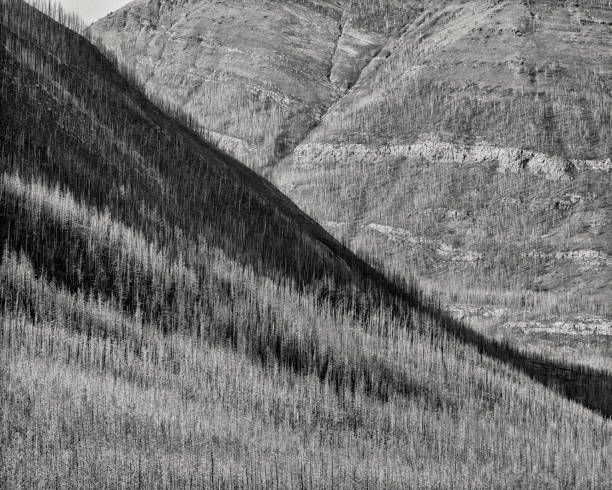 istock Waterton National Park in Alberta Canada 1318175590