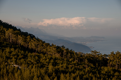 amazing view of the mountain landscape, hills with evergreen trees, sea coast and blue sky