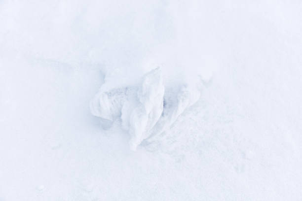 istock Abstract forms of snow and ice created by strong winds. White minimalist scene. 1318180760