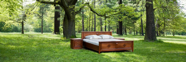 istock bed in a forest- concept of good sleep 1318180766