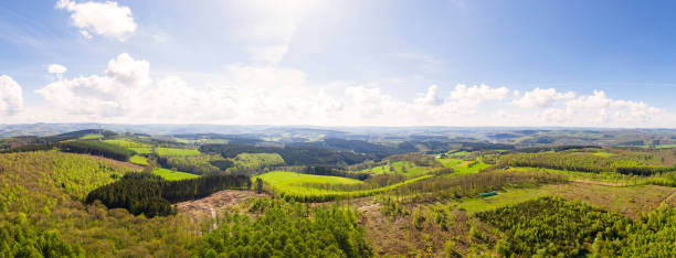 istock the siegerland forest and meadows from above in germany in spring as a high definition panorama 1318183083
