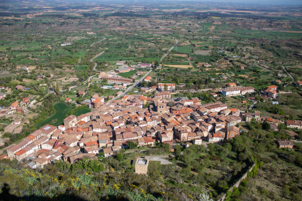 istock Spring flowers and landscapes in northern Spain 1318183368
