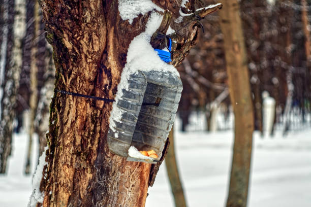 istock bird feeder made of plastic can 1318184195