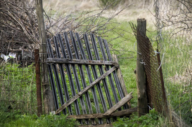 istock old gate in the fence 1318184476