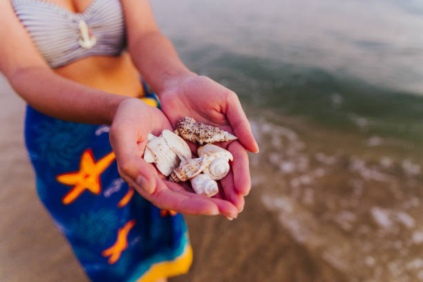 istock Woman picking up seashells from the beach 1318185162