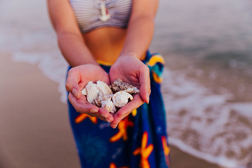 Woman's hands holding seashells from the beach