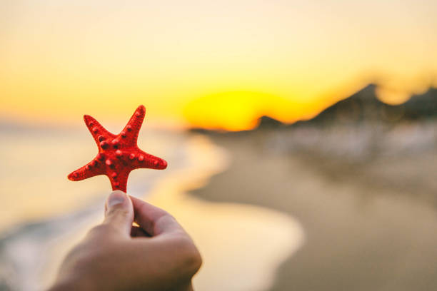 istock Woman holding a starfish on the beach 1318185587
