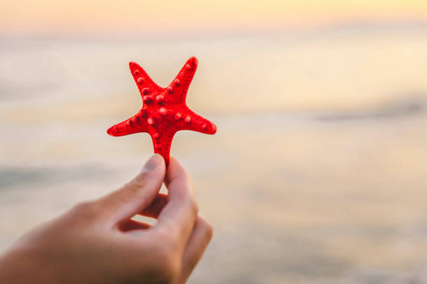 istock Woman's hand holding starfish over sea 1318189187