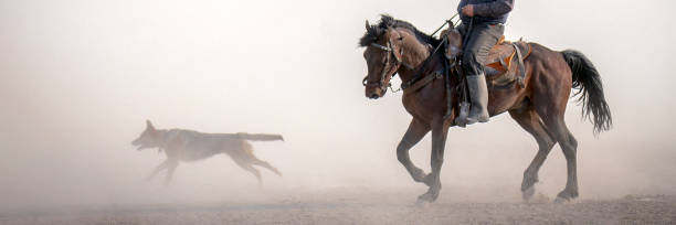 istock Horse and dog running through the dust 1318193707