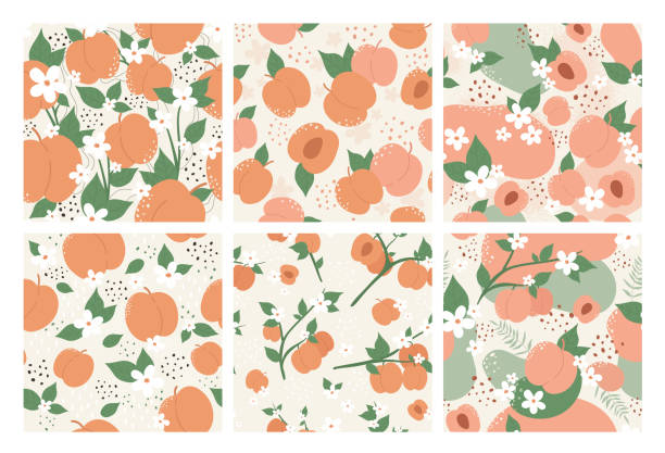brzoskwinia lub owoce moreli bez szwu wzór zestaw, lato brzoskwiniowa modna botanika tekstura - nectarine peach backgrounds white stock illustrations