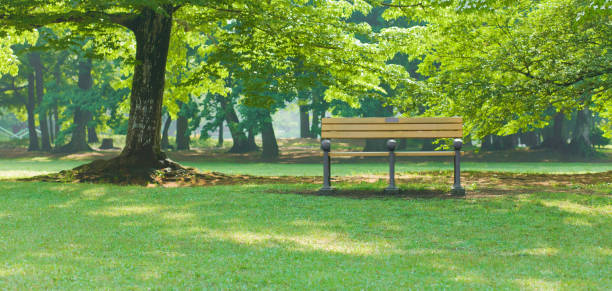 istock Banner image of park bench 1318202030
