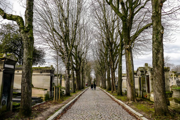 cimetiere du pere lachaise typisch französischer friedhof, fotobild ein wunderschöner panoramablick auf die pariser metropolstadt - lachaise stock-fotos und bilder