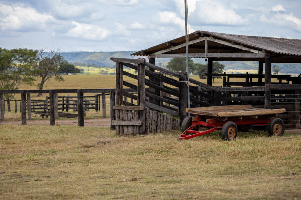 Wooden corral for handling livestock Wooden corral for handling livestock on farm with tractor equipment parked corral stock pictures, royalty-free photos & images