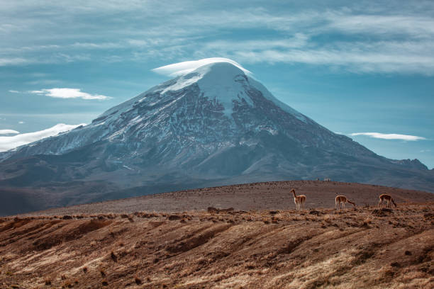istock Chimborazo Volcano/ Volcano Carihuairazo 1318209084