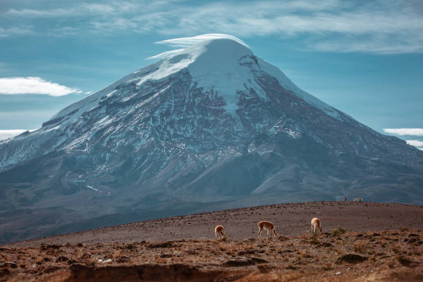 istock Chimborazo Volcano/ Volcano Carihuairazo 1318209086