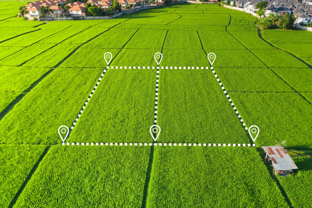 istock Land plot in aerial view for development or investment. 1318213904