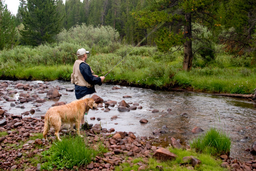 Man fly fishing with his best friend.
