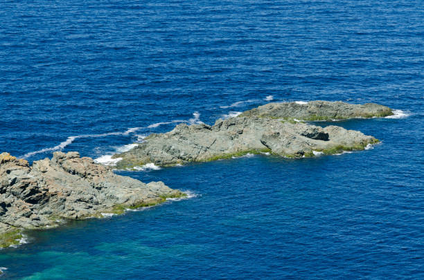 istock The shore of Newfoundland 1318219744