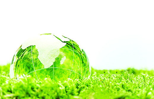 Environment concept. Glass globe ball on green moss.