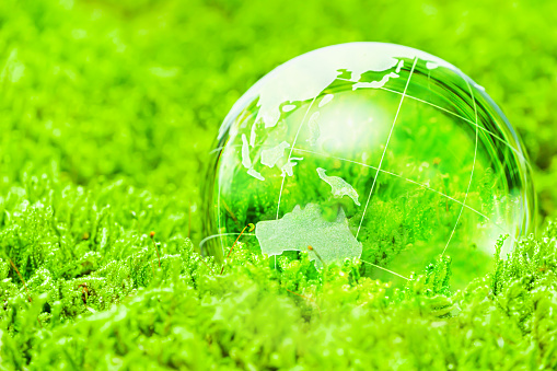 Concepto de entorno. Bola de globo de cristal sobre musgo verde. photo