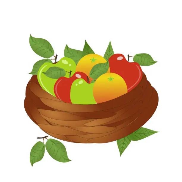 Vector illustration of A basket of fruits like Apples red and green Orange and grapes