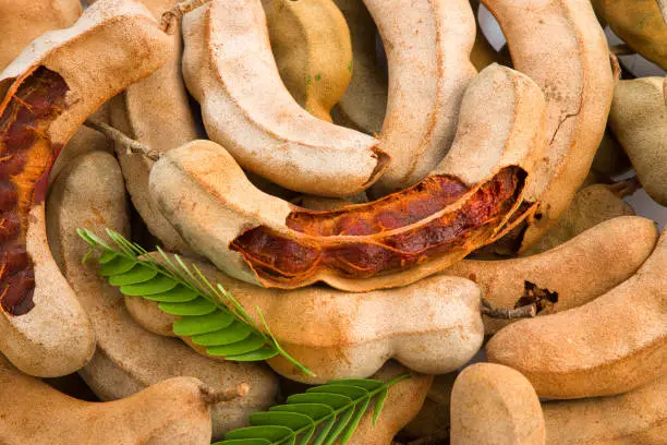 Tamarind_ bean like pods filled with seeds surrounded by a fibrous pulp arranged in a white textured background with its fresh green leaf.