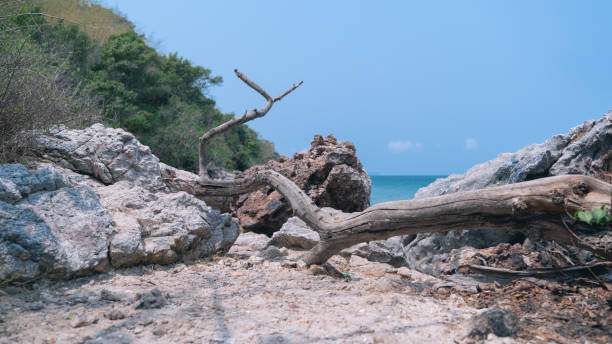 istock Tropical beach, rock and sand background with blue sky. 1318237987