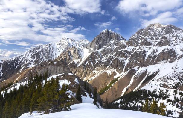 Scenic Springtime Landscape in Canadian Rockies