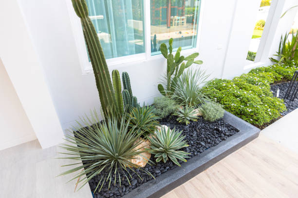 istock Rockery Garden with Green Small Succulent Plants. 1318241247