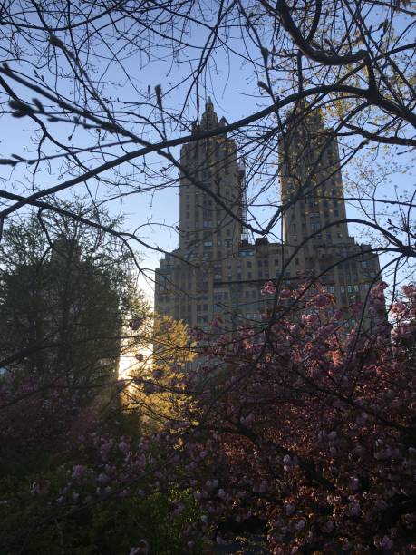 istock Sunset during Spring at Central Park in Manhattan, New York, NY. 1318244738