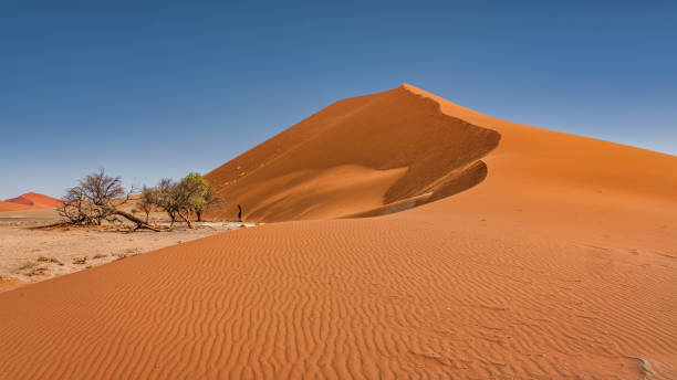 istock Namibia Giant Desert Sand Dune Panorama Dune 45 Sesriem 1318245593