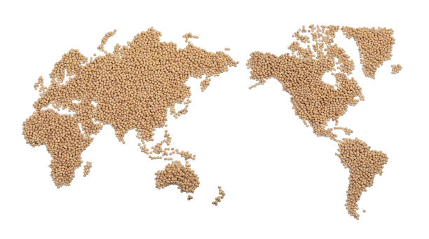 istock Image of map made of Soybean 1318247375