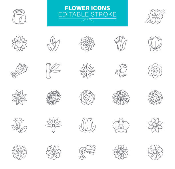 ilustrações, clipart, desenhos animados e ícones de ícones de flores traço editável. em ícones como ervas médicas, folha, planta, rosa, buquê - leaf flower head bouquet daffodil