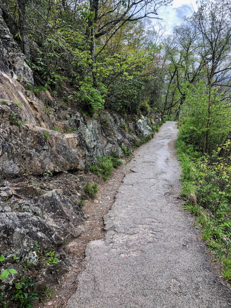 istock Paved hiking trail at Great Smoky Mountains 1318249376