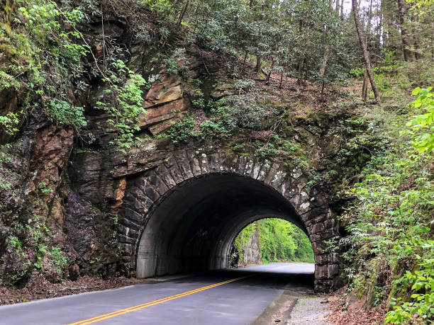 istock Stone tunnel through mountain in Tennessee 1318249420