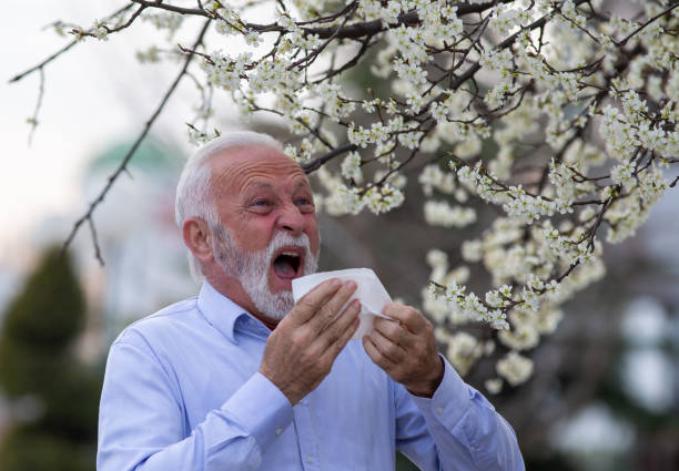 istock Senior man sneezing because of pollen allergy in spring 1318251815