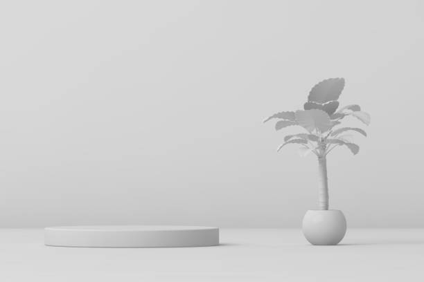 istock Modern 3D abstract background platform for product presentation. Empty product stand 1318252664