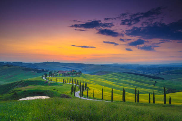 istock Tuscany countryside scenery with green grain fields at sunset, Italy 1318252711