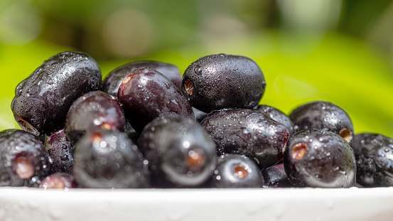 Closeup shot. A cup of fresh Black plums or Java plums in dark purple color with water drops and green background. Wild fruits with healthy nutrition