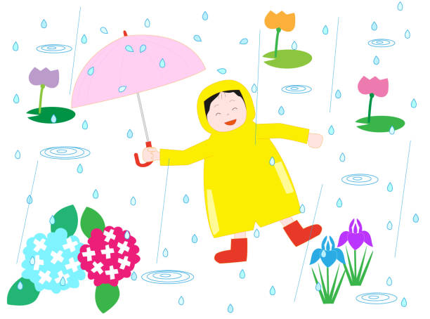 ilustrações de stock, clip art, desenhos animados e ícones de rainnydays - frog water lily pond sunlight