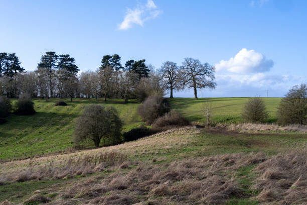 istock welcome hills looking down on english landscape warwickshire midlands england uk 1318257992