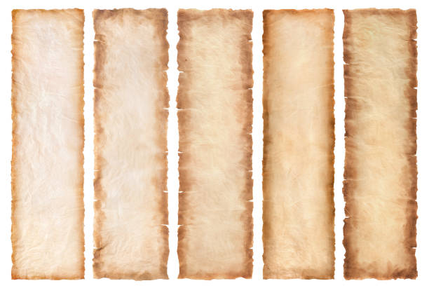 istock collection set old parchment paper sheet vintage aged or texture isolated on white background 1318258935