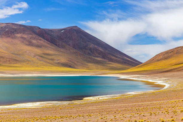Miniques Lagoon in the Atacama Desert, Chile
