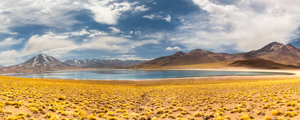 istock Miscanti Lagoon in the Atacama Desert, Chile 1318259252