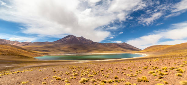 istock Miniques Lagoon in the Atacama Desert, Chile 1318259337