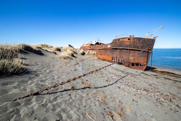 istock Wreckages on San Gregorio beach, strait of Magellan, Chile 1318260065