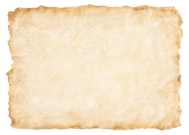 istock old parchment paper sheet vintage aged or texture isolated on white background 1318261228