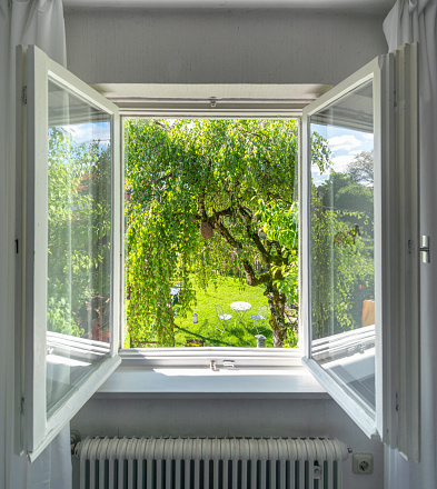 Germany, Bavaria, Window with view to natural garden with a birch on the foreground.