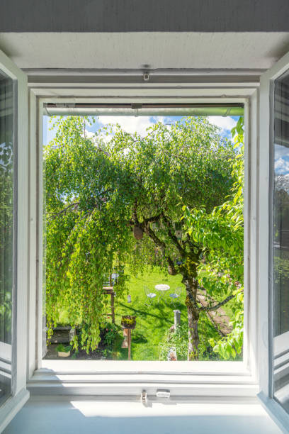 Germany, Bavaria, Window with view to natural garden with a birch on the foreground.