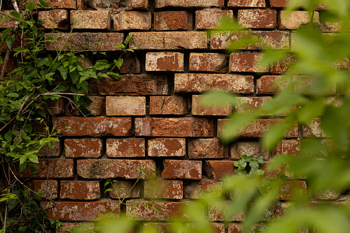 Particular view of a wall of orange bricks in a natural environment